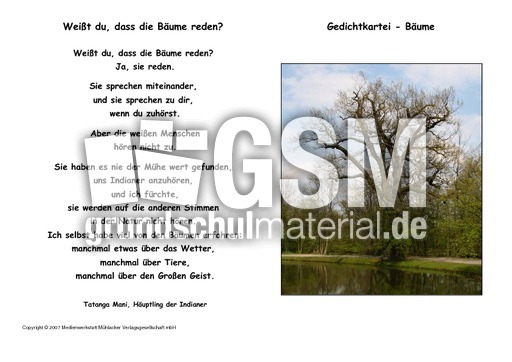 Weißt-du-dass-die-Bäume-Tatanga-Mani.pdf